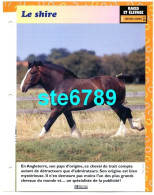 LE SHIRE Cheval Horse Chevaux Fiche Dépliante - Animales