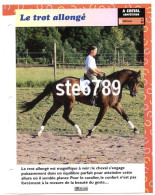 LE TROT ALLONGE  Horse Chevaux A Cheval  Cavalier Compétition Equitation Fiche Dépliante - Dieren