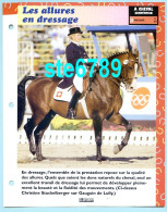 LES ALLURES EN DRESSAGE Horse Chevaux A Cheval Cavalier Compétition Equitation Fiche Dépliante - Dieren