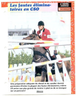 LES FAUTES ELIMINATOIRES EN CSO Horse Chevaux A Cheval  Cavalier Compétition Equitation Fiche Dépliante - Dieren