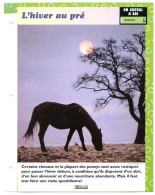 L'HIVER  AU PRE   Horse Chevaux Un Cheval à Soi Entretien Fiche Dépliante - Animals