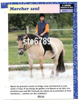 MARCHER SEUL   Horse Chevaux A Cheval Principes De Base En Selle Equitation Fiche Dépliante - Dieren