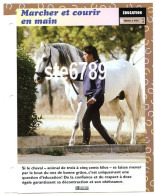 MARCHER ET COURIR EN MAIN   Horse Chevaux Education Cheval Travail A Pied Fiche Dépliante - Tiere