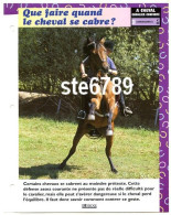 QUE FAIRE CHEVAL SE CABRE  Horse Chevaux A Cheval  Cavalier Confirmé Equitation Fiche Dépliante - Animaux