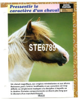 PRESSENTIR LE CARACTERE  Horse Chevaux Cheval Pratique Choisir Un Cheval Fiche Dépliante - Tiere