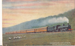 JOHANNESBURG  CAPE  EXPRESS  CENTRAL SOUTH AFRICAN Rlys          ZIE AFBEELDINGEN - Eisenbahnen