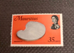 MAURICE 1969 1v Neuf MNH ** Mi 340 Conchas Shells Muscheln Conchoglie MAURITIUS - Schelpen