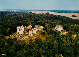 02* FERE EN TARDENOIS Ruines Chateau   (CPM 10,5x15cm)          RL16,0057 - Fere En Tardenois