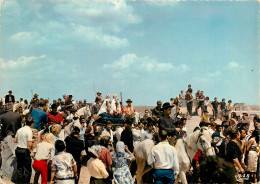 13* STES MARIES DE LA MER  Fetes 24-25 Mai   (CPSM 10,5x15cm)    RL16,0671 - Saintes Maries De La Mer