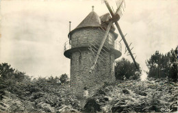 56* GUER  Le Moulin Des Rochelets   CPSM(9x14cm)          RL42,0086 - Guer Cötquidan