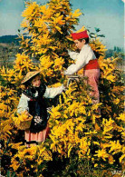 Folklore - Costumes - Les Fleurs De La Cote D'Azur - Mimosas - Enfants - CPM - Voir Scans Recto-Verso - Costumes