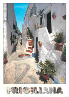 Espagne - Espana - Andalucia - Frigiliana - Calle Tipica - Rue Typique - CPM - Voir Scans Recto-Verso - Sonstige & Ohne Zuordnung