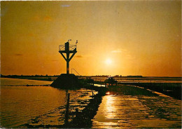 85 - Ile De Noirmoutier - Le Passage Du Gois Au Soleil Couchant - Coucher De Soleil - Carte Neuve - CPM - Voir Scans Rec - Ile De Noirmoutier