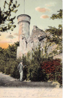 Delcampe - Gruss Aus Hof A.Saale - Partie Am Labyrinth Gel.1904 AKS - Hof