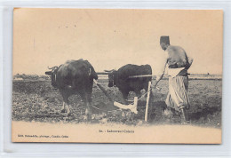 Crete - Cretan Ploughman - Publ. Behaeddin 80 - Greece