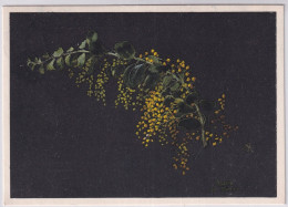 E.Kreidolf Mimose (Pastell) Mimosa (pastello) - Gelaufen 1945 Ab Thun - Zugunsten Der Soldatenlese- Und Schreibstuben - Fiori