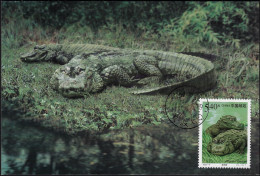 Chine 2000 Y&T 3782 Sur Carte Maximum. Faune Protégée, Alligator De Rivière - Altri & Non Classificati