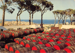 Banyuls-sur-Mer - Le Haut Lieu De Banyuls - Banyuls Sur Mer