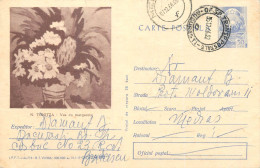 Postal Stationery Postcard Romania Nicolae Tonitza Vas Cu Margarete - Rumania