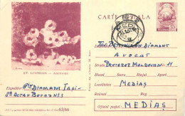 Postal Stationery Postcard Romania Stefan Luchian Painting Anemone 1967 - Romania
