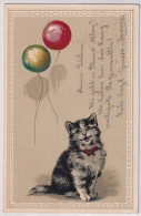 Prägekarte Mit Katze Ballons - Gelaufen 1904 Von Meiringen Nach Thun - Chats