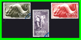 ESPAÑA  COLONIAS ESPAÑOLAS ( RIO MUNI - AFRICA ) SERIE DE SELLOS AÑO 1961 PRO INFANCIA  - NUEVOS - - Rio Muni