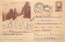 Postal Stationery Postcard Romania Mountain Landscape Trees 1966 - Rumania