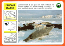 WWF LE PHOQUE CRABIER   Animaux  Animal Fiche Illustree Documentée - Animali