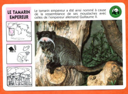 WWF LE TAMARIN EMPEREUR Animaux  Animal Singe Fiche Illustree Documentée - Animali