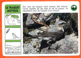 WWF LE TRAQUET MOTTEUX Oiseau  Animaux Animal Fiche Illustree Documentée - Animals