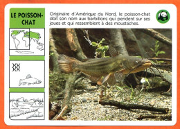 WWF LE POISSON CHAT  Animaux  Poissons Animal Fiche Illustree Documentée - Animaux
