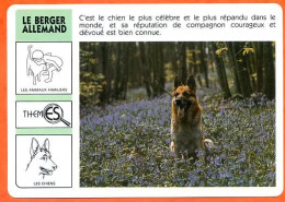 WWF LE BERGER ALLEMAND Chien Animaux  Animal Fiche Illustree Documentée - Dieren