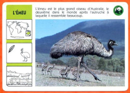 WWF L' EMEU Oiseau Animaux  Animal Fiche Illustree Documentée - Tiere
