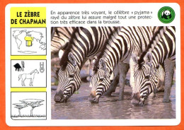 WWF LE ZEBRE DE CHAPMAN Animaux  Animal Fiche Illustree Documentée - Tiere