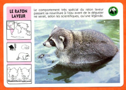 WWF LE RATON LAVEUR  Animaux  Animal Fiche Illustree Documentée - Animaux