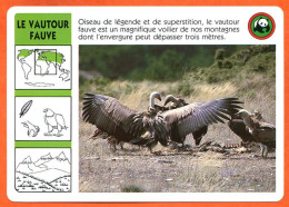 WWF LE VAUTOUR FAUVE   Animaux  Animal Oiseau Fiche Illustree Documentée - Tiere