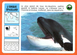 WWF ORQUE EPAULARD  Animaux  Animal Fiche Illustree Documentée - Tiere