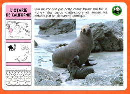 WWF OTARIE DE CALIFORNIE Animaux  Animal Fiche Illustree Documentée - Animaux