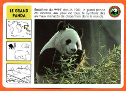 WWF LE GRAND PANDA Animaux  Animal Fiche Illustree Documentée - Tiere