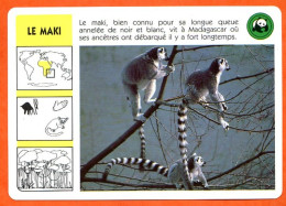 WWF LE MAKI Animaux Animal Singe Madagascar Fiche Illustree Documentée - Dieren