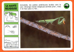 WWF LA MANTE RELIGIEUSE Animaux  Animal Insecte Fiche Illustree Documentée - Tiere