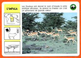 WWF IMPALA  Animaux  Animal Fiche Illustree Documentée - Dieren