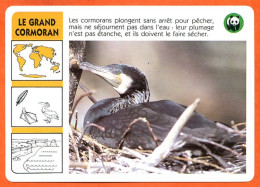 WWF LE GRAND CORMORAN  Animaux  Animal Oiseau Fiche Illustree Documentée - Tiere