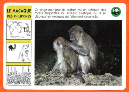 WWF LE MACAQUE DES PHILIPPINES Animaux  Animal Singe Fiche Illustree Documentée - Animaux