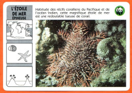 WWF ETOILE DE MER EPINEUSE  Animaux  Animal Fiche Illustree Documentée - Animales