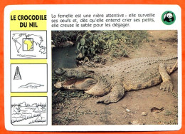 WWF LE CROCODILE DU NIL  Animaux Animal Fiche Illustree Documentée - Animali