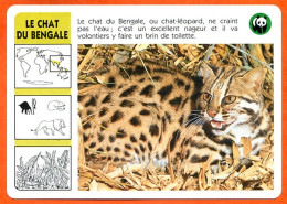 WWF LE CHAT DU BENGALE  Animaux  Animal Fiche Illustree Documentée - Animaux