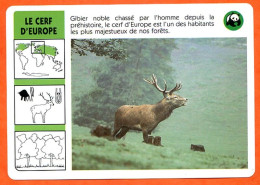 WWF LE CERF D' EUROPE  Animaux  Animal Fiche Illustree Documentée - Animales