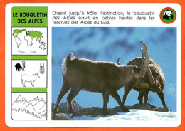 WWF LE BOUQUETIN DES ALPES  Animaux  Animal Fiche Illustree Documentée - Animales