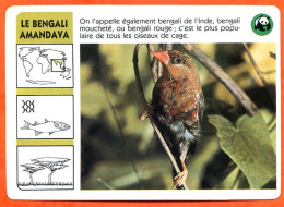 WWF LE BENGALI AMANDAVA Oiseau  Animaux Animal Fiche Illustree Documentée - Dieren